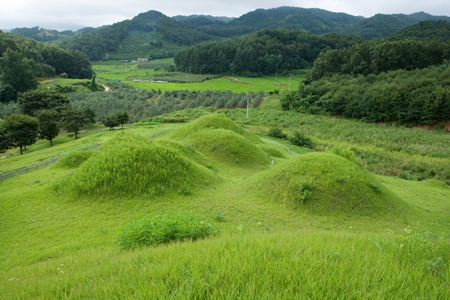 논산묘지이장