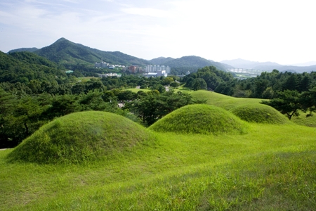 논산묘지이장